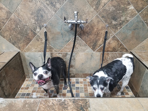 Pet Supply Store «Pet Valu», reviews and photos, 1305 West Seventh Street #28, Frederick, MD 21702, USA