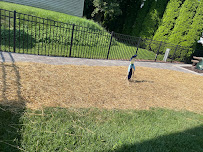 South Central Landscapes LLC - Photo 8 - Car repair in , Madison