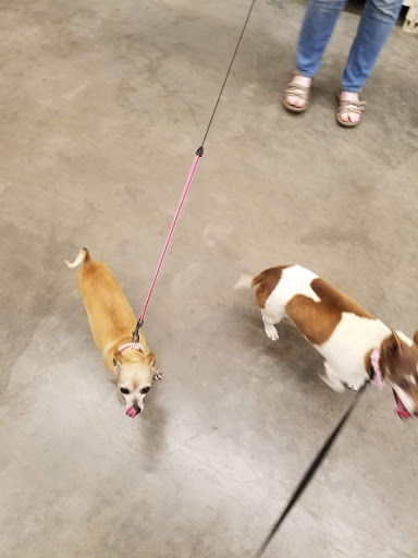 Pet Supply Store «PetSmart», reviews and photos, 215 N Burkhardt Rd, Evansville, IN 47715, USA