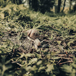 Photo n° 7 de l'avis de stephaness.u fait le 01/05/2023 à 10:12 pour Au2 Maison d'Hôtes - Spa à Muidorge