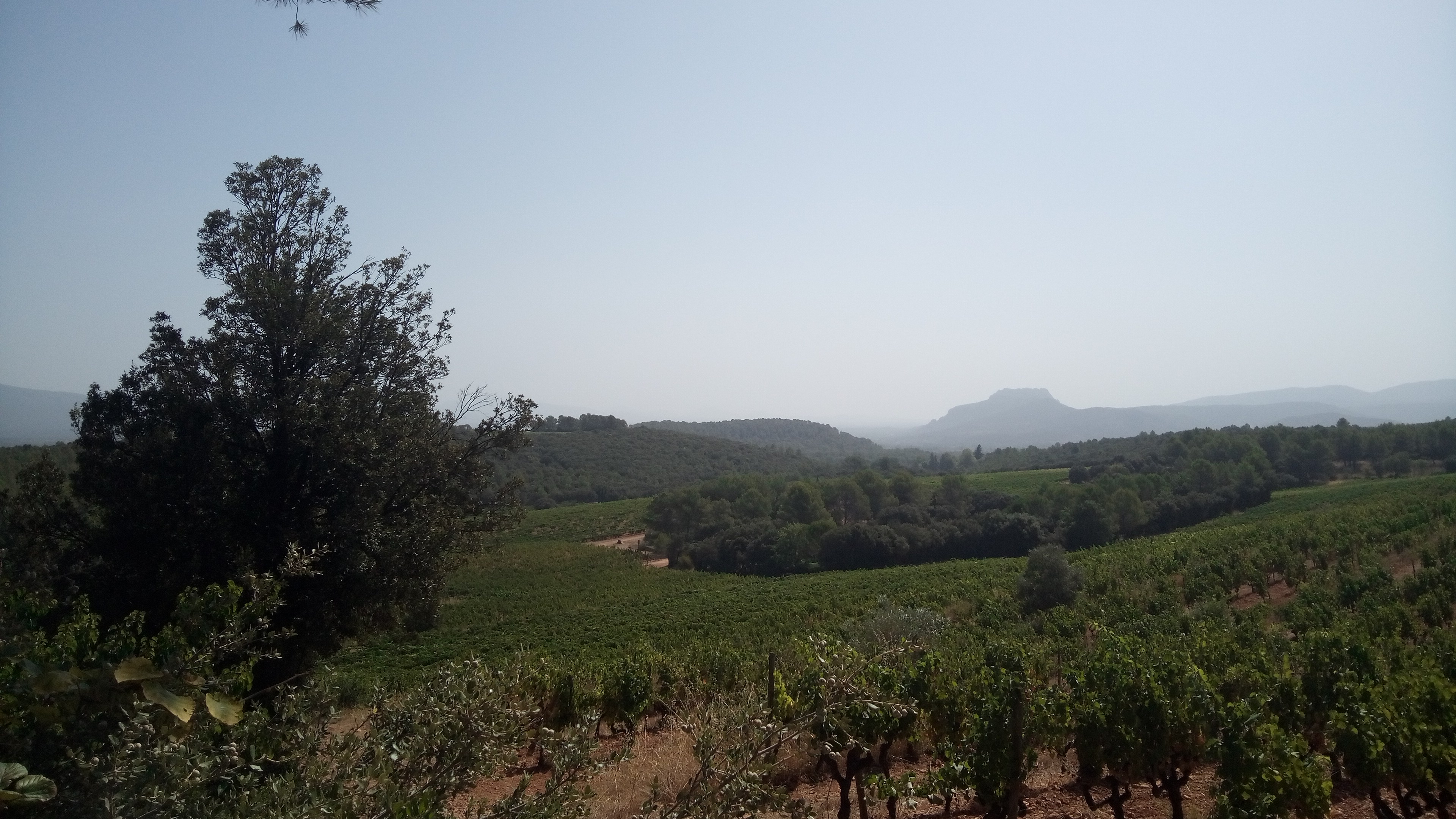 Photo n° 11 de l'avis de Stéphane.o fait le 15/08/2021 à 13:23