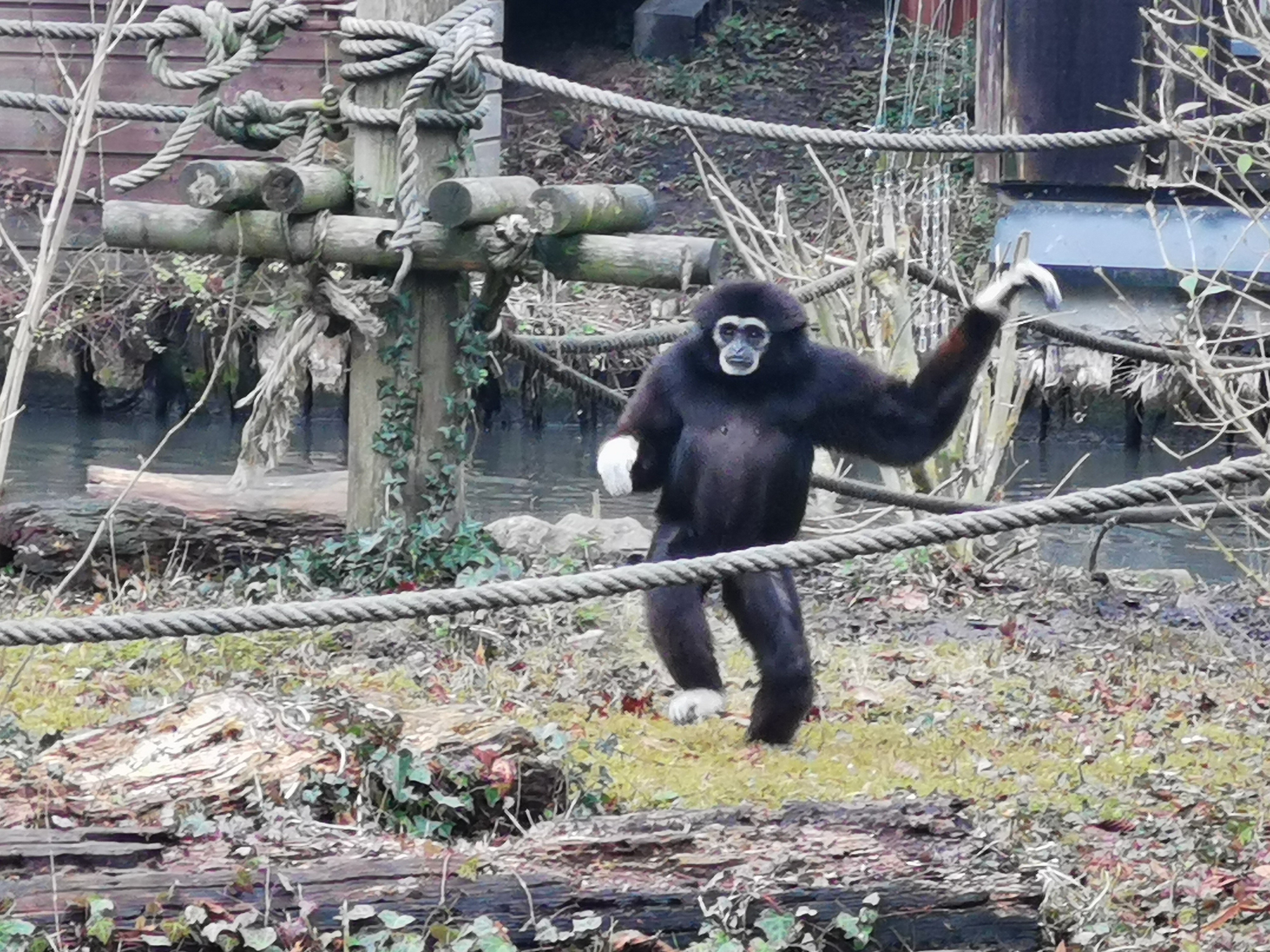 Photo n° 3 de l'avis de Anna. fait le 21/02/2022 à 15:27