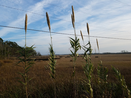 Golf Course «Pablo Creek Club», reviews and photos, 5660 San Pablo Rd S, Jacksonville, FL 32224, USA