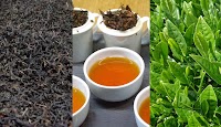 松野紅茶 望月農園 和紅茶 深蒸し茶