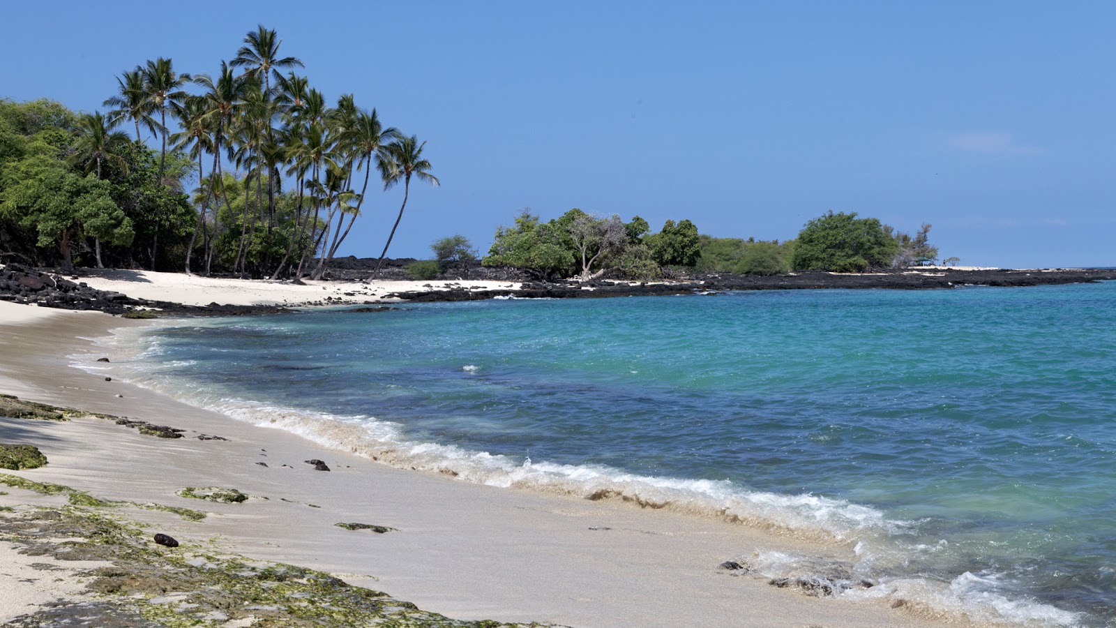 Photo of Mahai'ula beach with very clean level of cleanliness
