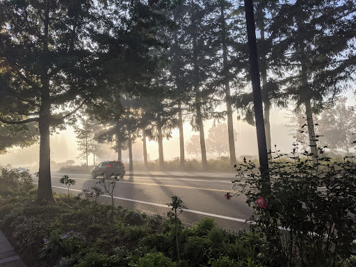 Golf Course «Chehalem Glenn Golf Course», reviews and photos, 4501 E Fernwood Rd, Newberg, OR 97132, USA