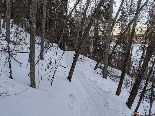 Silver Fox Trail