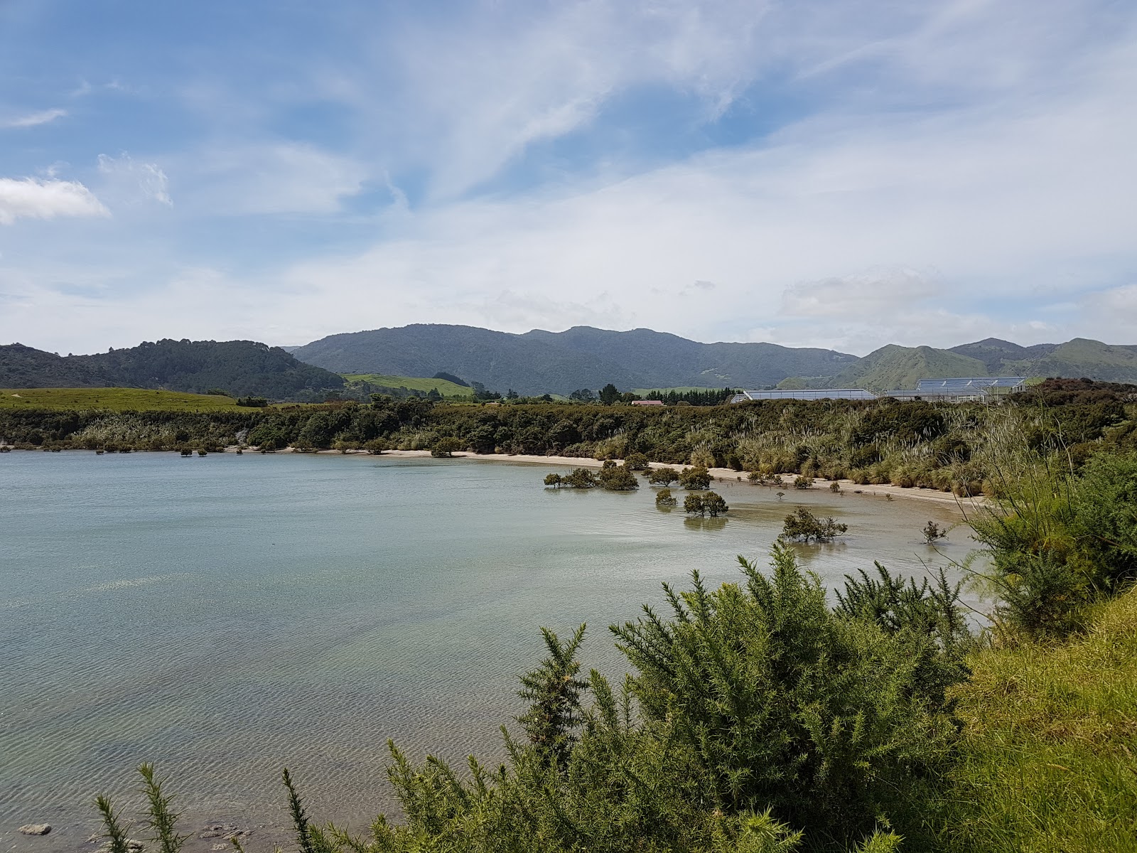 Koutu Beach photo #8