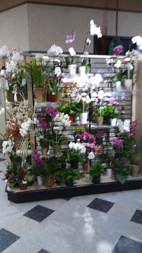 Grocery Store «Kroger», reviews and photos, 13333 Eureka Rd, Southgate, MI 48195, USA