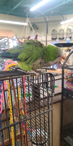 Bird Shop «Varietees Bird Shop», reviews and photos, 60 Meramec Valley Plaza, Valley Park, MO 63088, USA