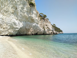 Zdjęcie Cala della Pipa z poziomem czystości wysoki