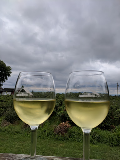 Winery «Charlotte Village Winery», reviews and photos, 3968 Greenbush Rd, Charlotte, VT 05445, USA
