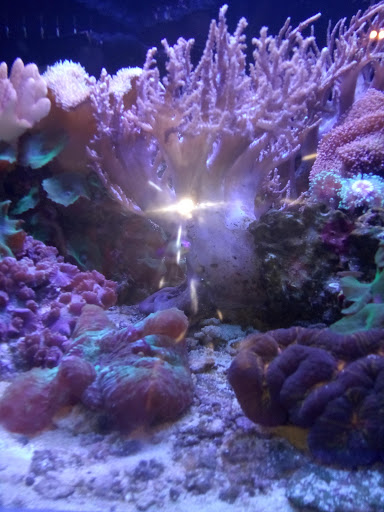 Zoo «Tropic World», reviews and photos, 3300 Golf Rd, Brookfield, IL 60513, USA