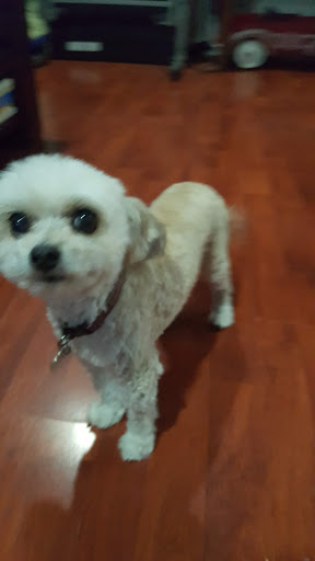 Pet Supply Store «Petco Animal Supplies», reviews and photos, 8800 Tampa Ave, Northridge, CA 91324, USA