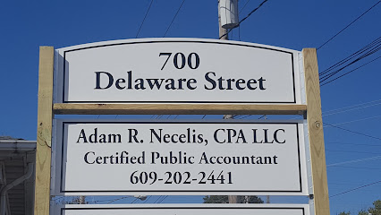 Adam R. Necelis CPA LLC