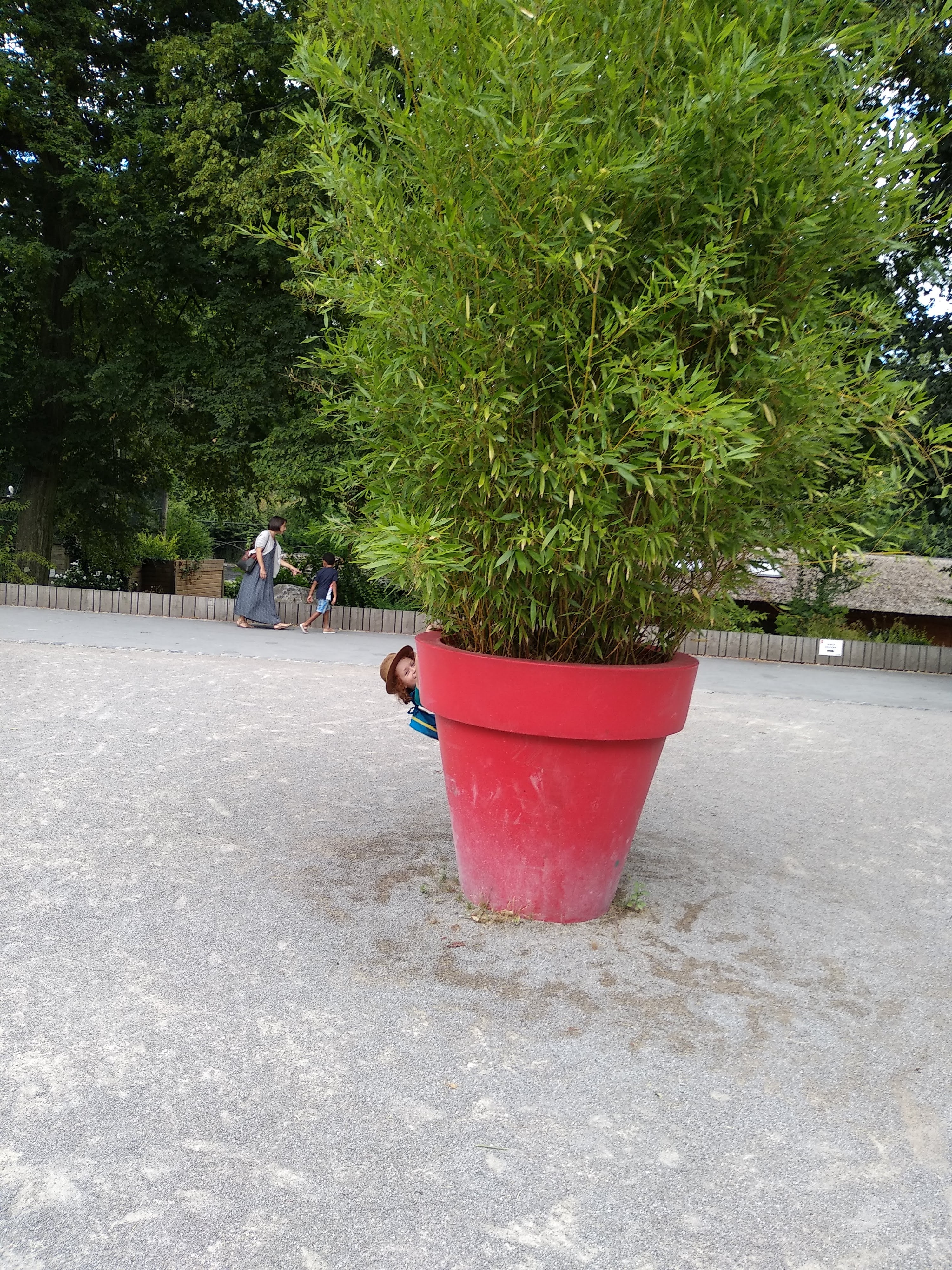 Photo n° 15 de l'avis de Xavier. fait le 10/08/2018 à 16:35