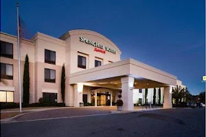 SpringHill Suites by Marriott Savannah I-95 South image