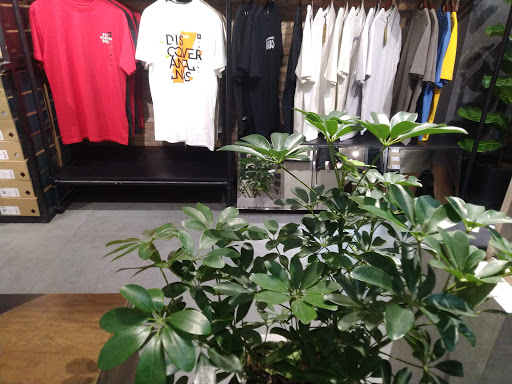 Top 9 các cửa hàng ananas Quận 6 Hồ Chí Minh 2022