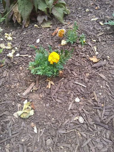 Government Office «Bear Hollow Wildlife Trail», reviews and photos, 293 Gran Ellen Dr, Athens, GA 30606, USA