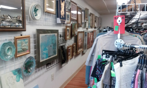 Thrift Store «Throw Back Thrift», reviews and photos, 1344 Easton Rd, Abington, PA 19001, USA