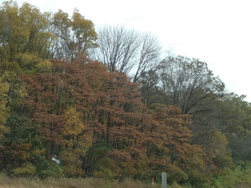 Lumber Store «84 Lumber», reviews and photos, 239 Outer Rd W, Valley Park, MO 63088, USA