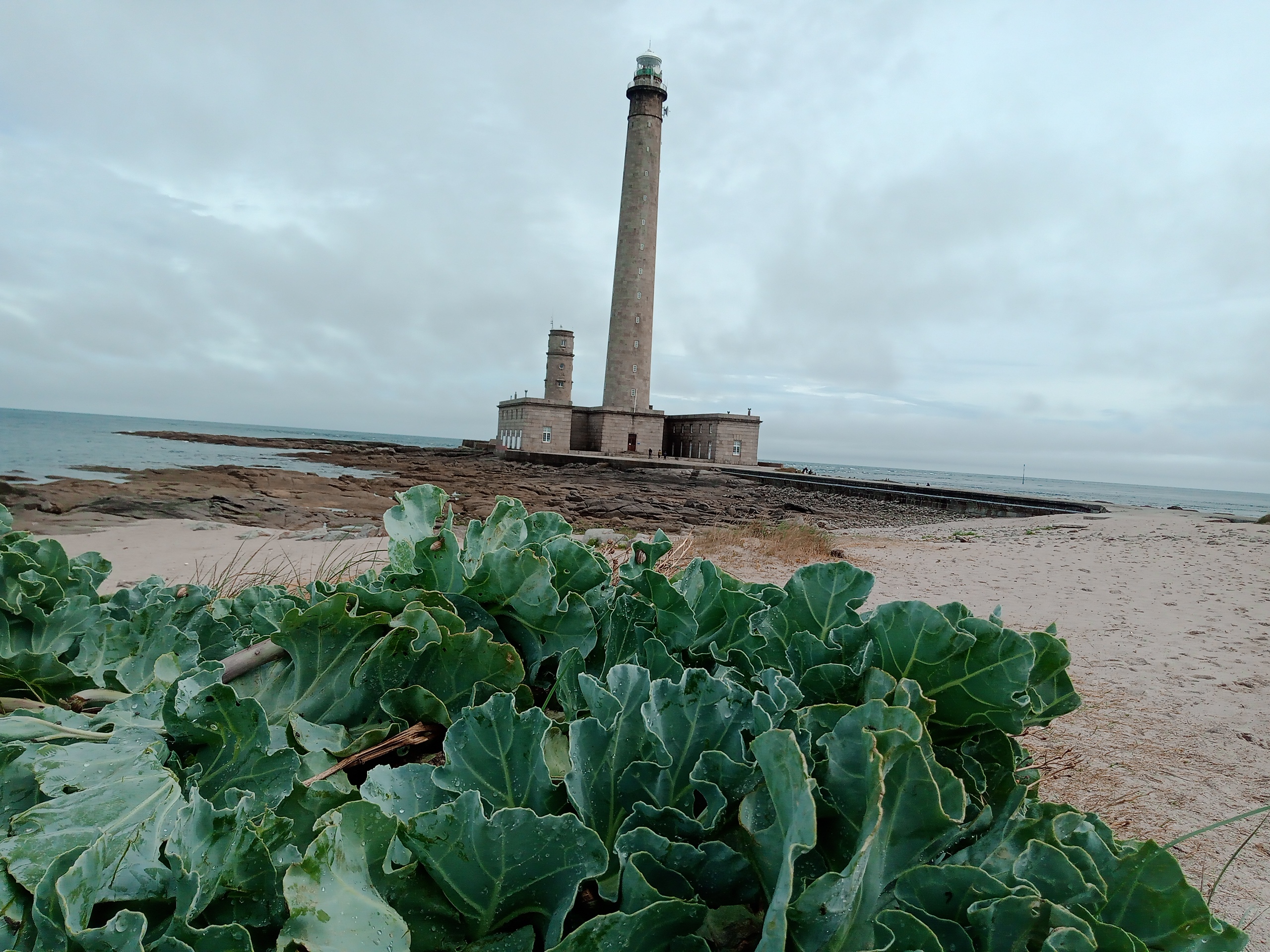 Photo n° 4 de l'avis de Stéphane. fait le 26/08/2022 à 11:52
