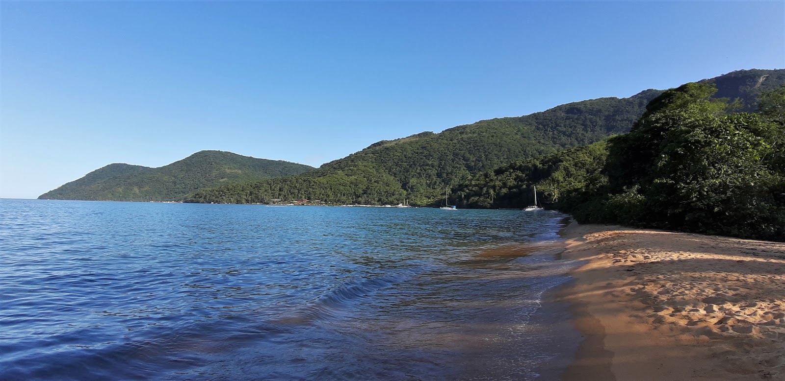 Photo de Praia do Pereque protégé par des falaises