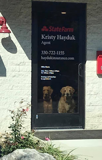 Insurance Agency «Kristy Hayduk - State Farm Insurance Agent», reviews and photos