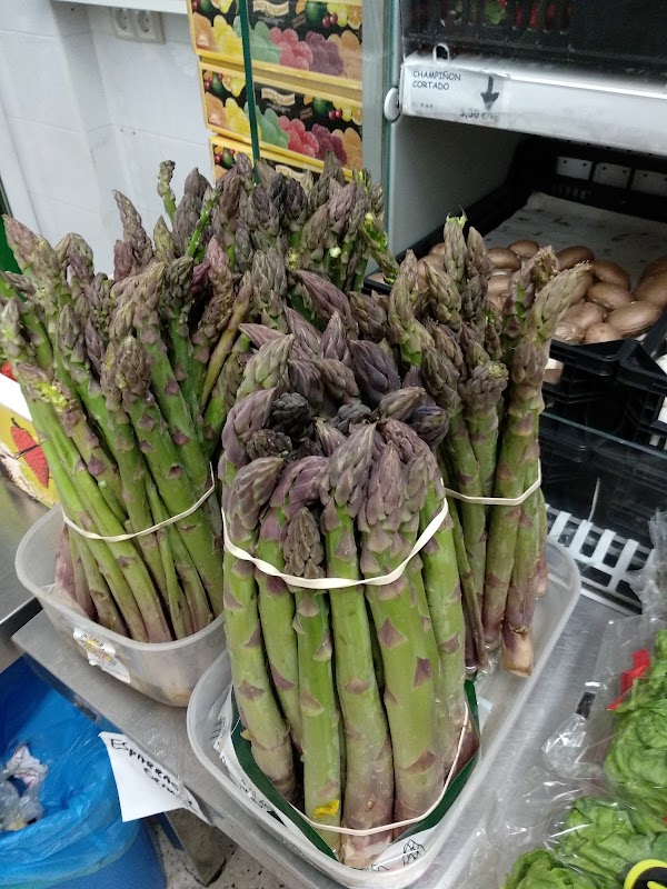 Frutería Garden