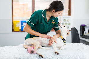 The Stocks Veterinary Centre