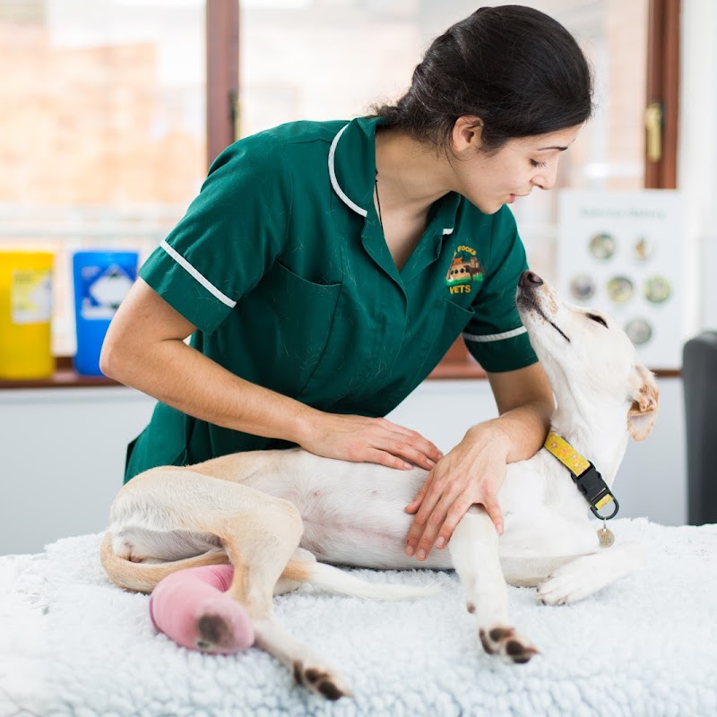 The Stocks Veterinary Centre