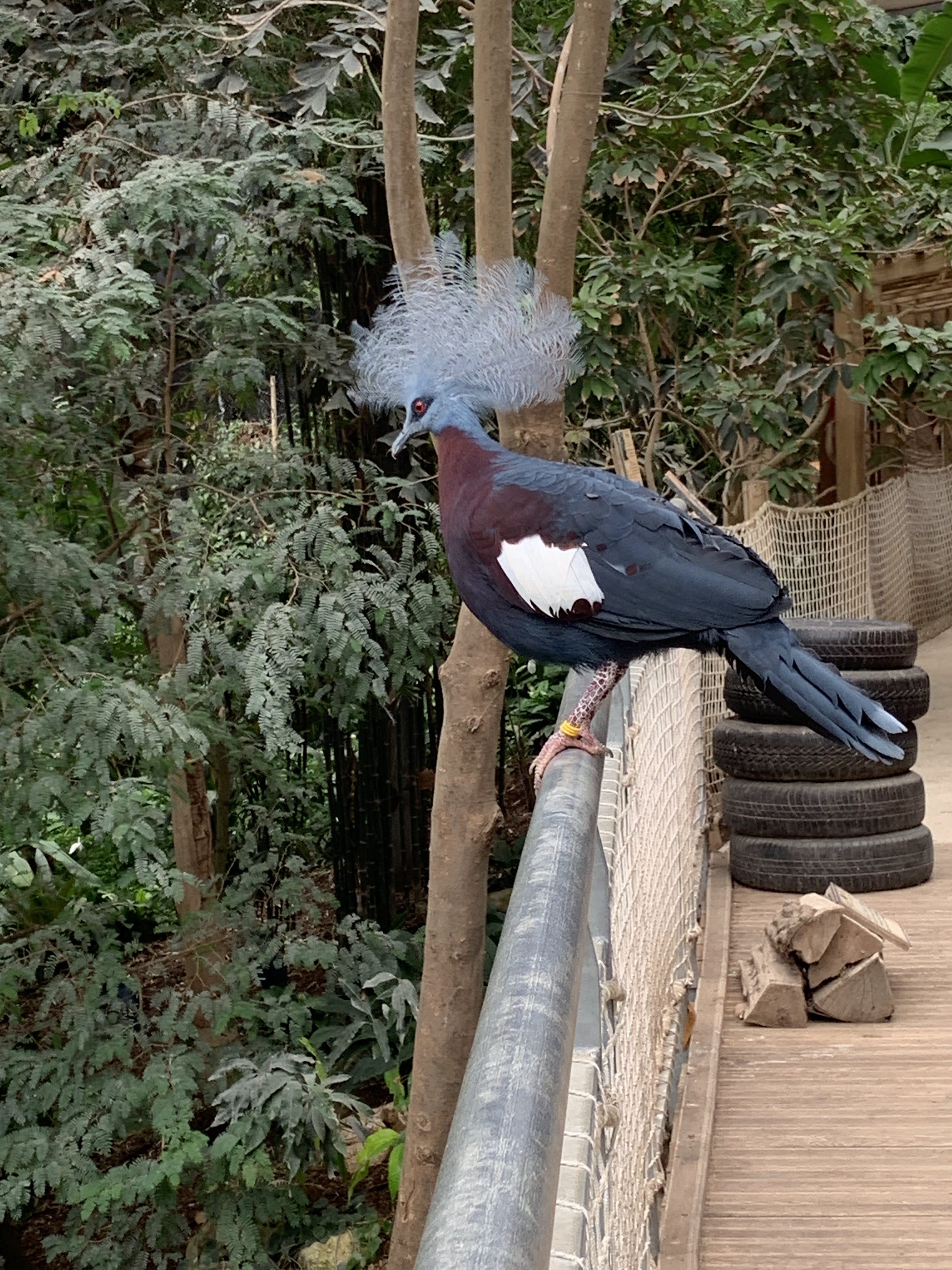 Photo n° 28 de l'avis de Angie. fait le 15/05/2019 à 11:27