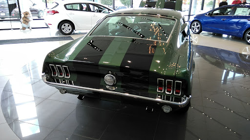 Kia Dealer «Bill Doraty KIA», reviews and photos, 2925 Medina Rd, Medina, OH 44256, USA