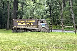 Laurel Summit State Park image