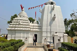 Mani Nageswar Shiva Temple image