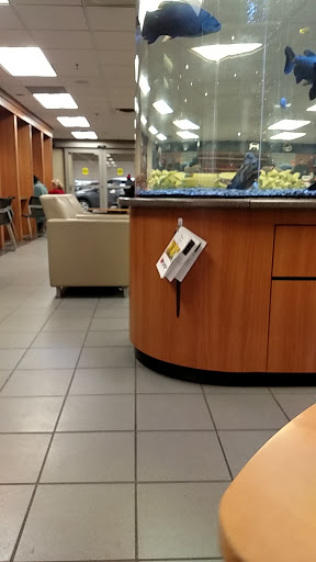 Toyota Dealer «Maplewood Toyota», reviews and photos, 2873 Maplewood Dr, Maplewood, MN 55109, USA