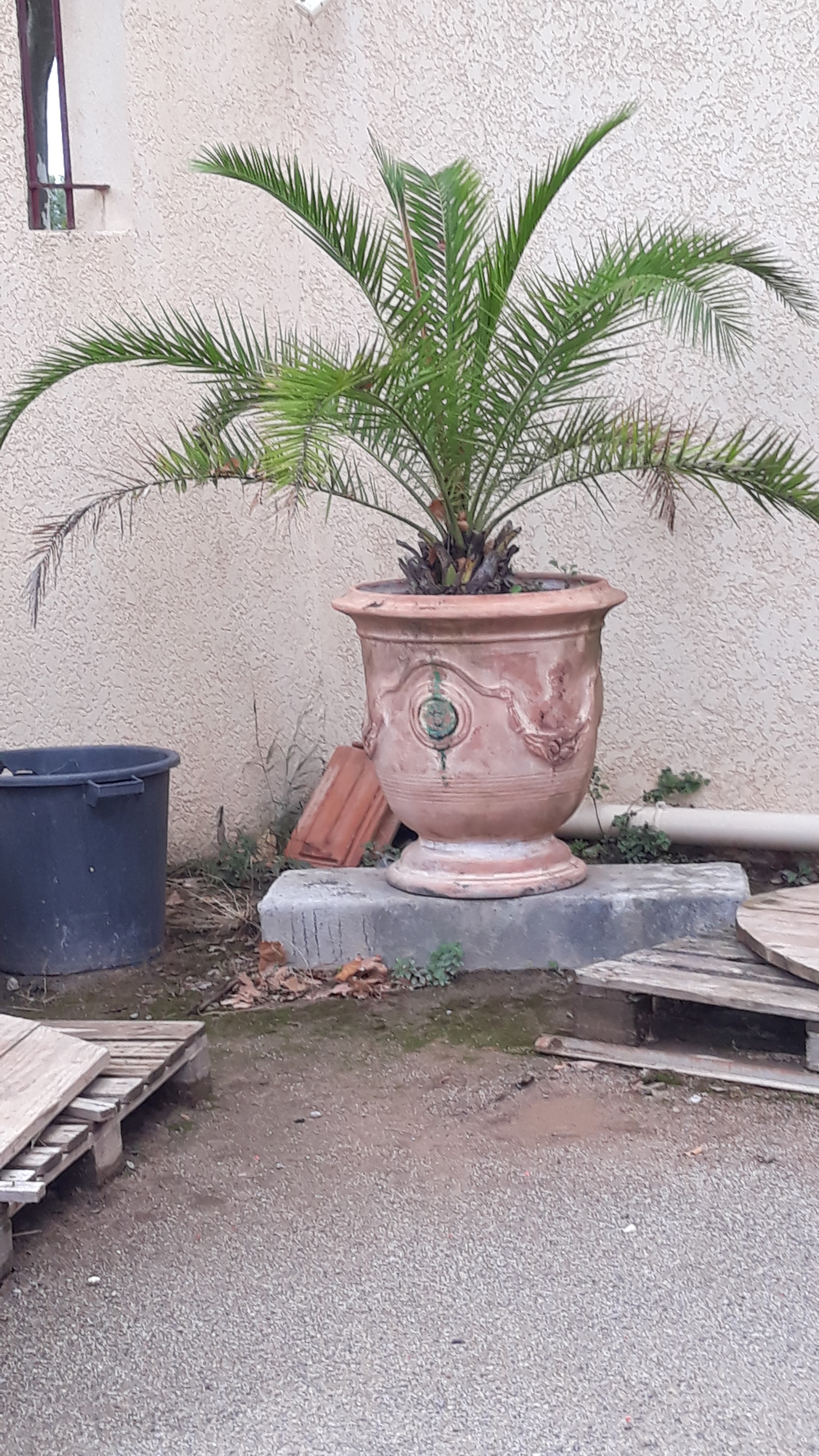 Photo n° 1 de l'avis de Denis.e fait le 10/09/2020 à 10:19