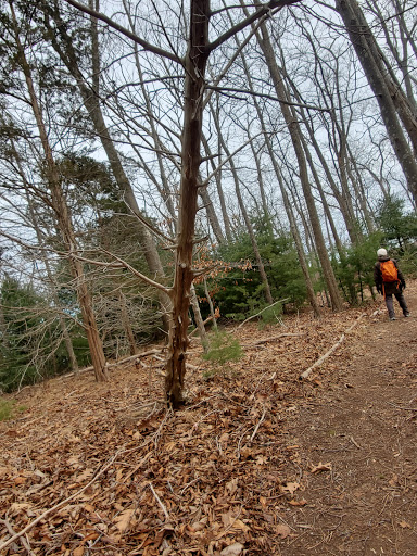Chevrolet Dealer «Sudbay Chevrolet Buick Cadillac GMC», reviews and photos, 88 Causeway St, Gloucester, MA 01930, USA