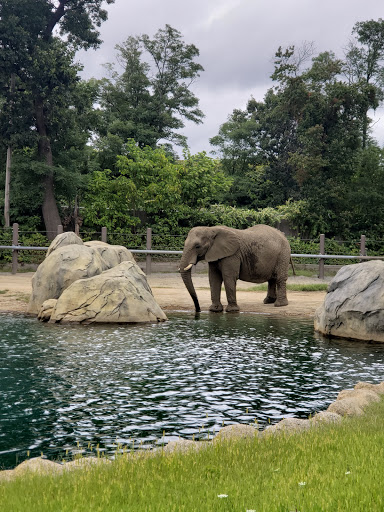 Zoo «Roger Williams Park Zoo», reviews and photos, 1000 Elmwood Ave, Providence, RI 02905, USA