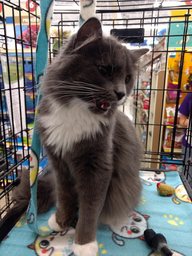 Pet Supply Store «PetSmart», reviews and photos, 8175 Arbor Square Dr, Mason, OH 45040, USA