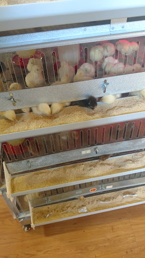 Animal Feed Store «West Lebanon Feed & Supply», reviews and photos, 12 Railroad Ave, West Lebanon, NH 03784, USA