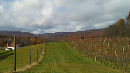 Winery «Christian W Klay Winery», reviews and photos, 412 Fayette Springs Rd, Chalkhill, PA 15421, USA