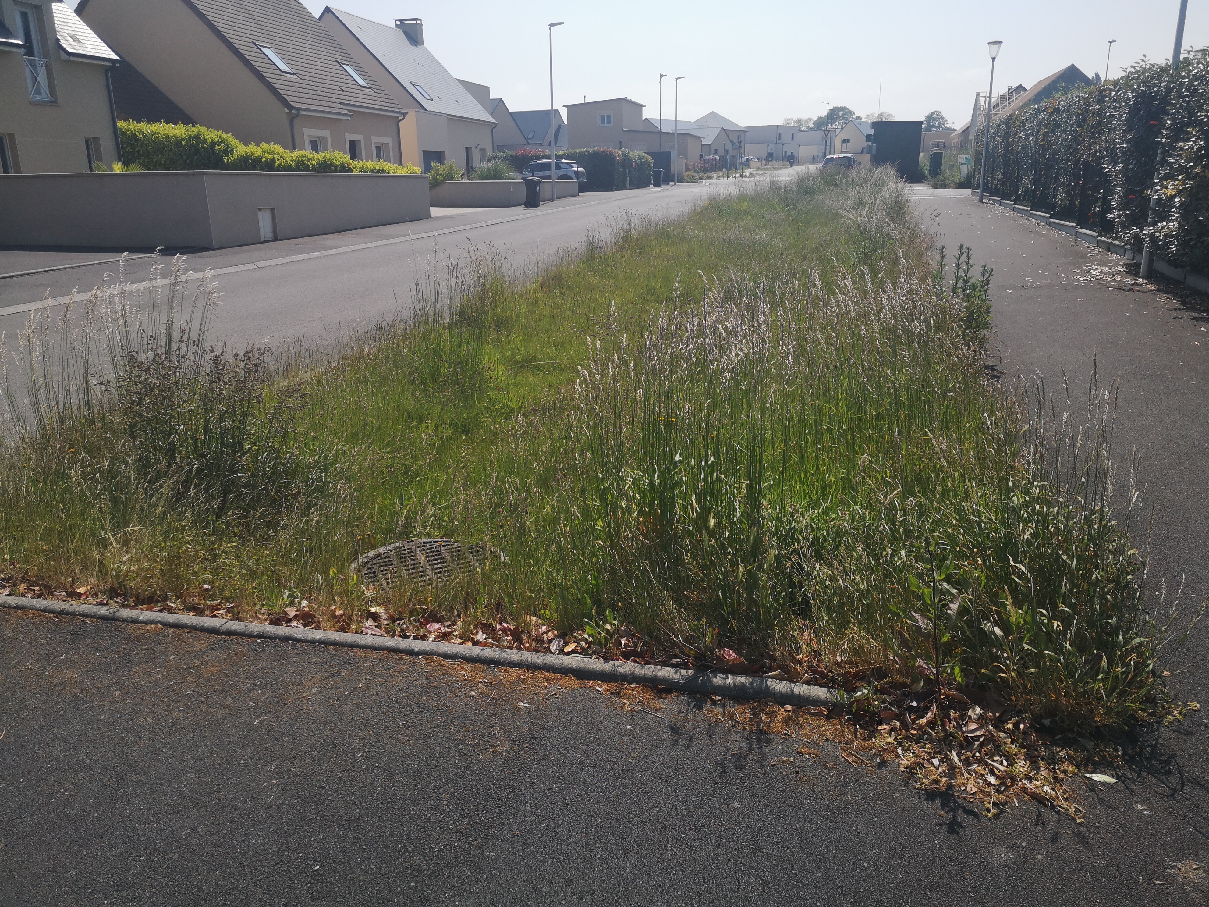 Photo n° 1 de l'avis de matt.o fait le 31/05/2023 à 14:47