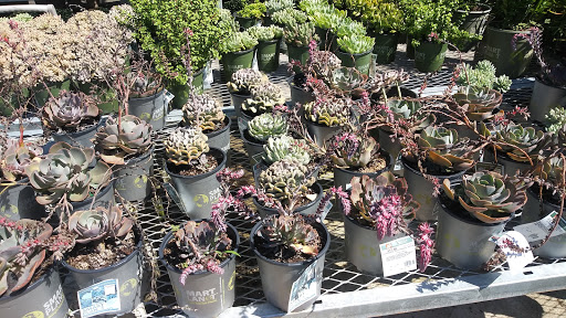 Home Improvement Store «The Home Depot», reviews and photos, 2805 US-98, Lakeland, FL 33805, USA