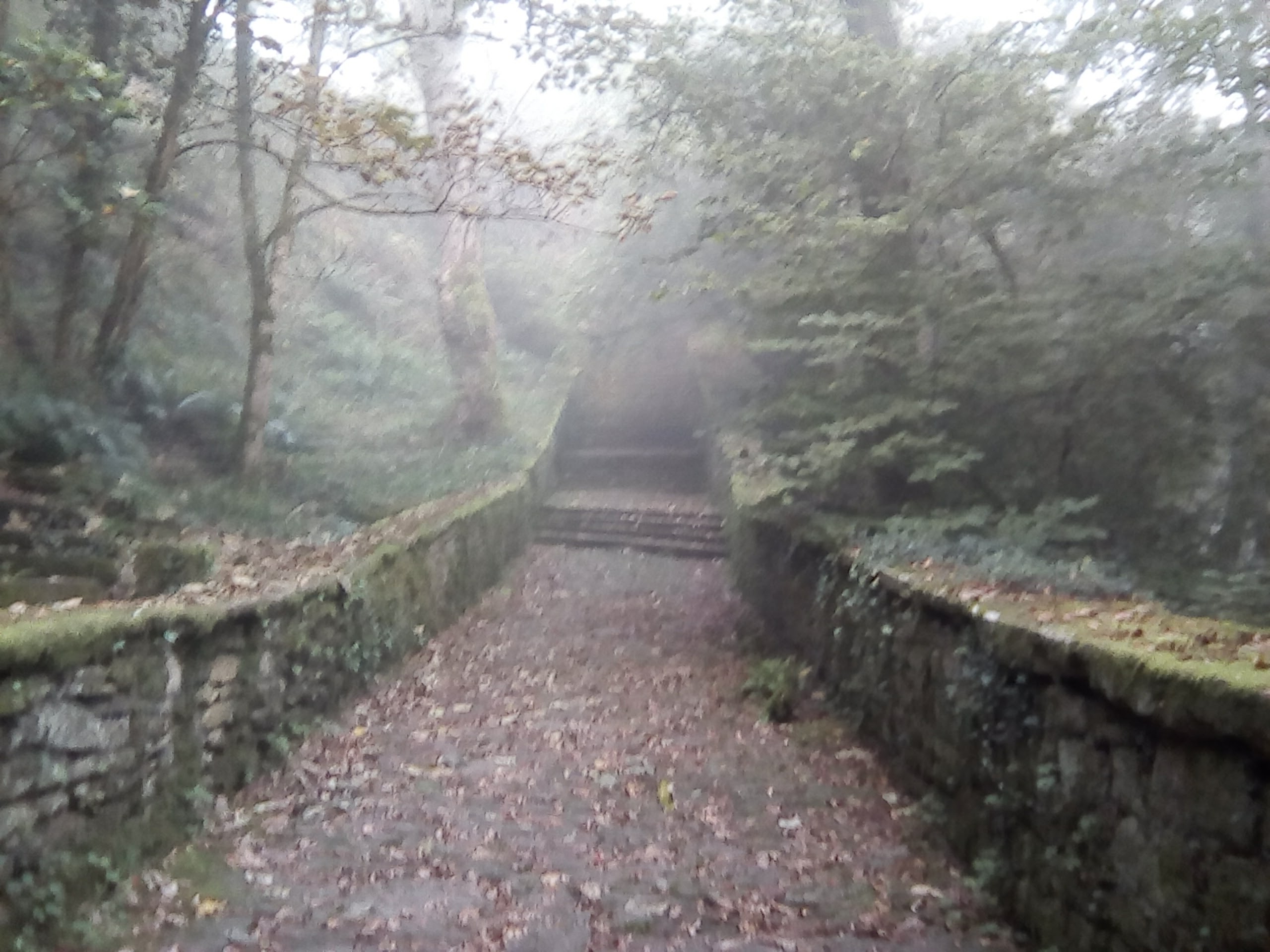 Photo n° 2 de l'avis de Evelyne.a fait le 20/09/2017 à 08:47