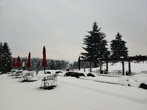 Winery «Apolloni Vineyards», reviews and photos, 14135 NW Timmerman Rd, Forest Grove, OR 97116, USA