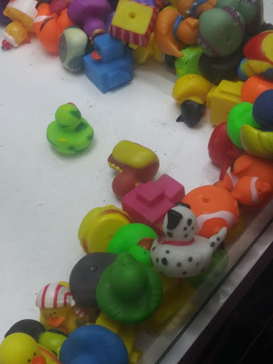 Roller Skating Rink «Skate City Littleton», reviews and photos