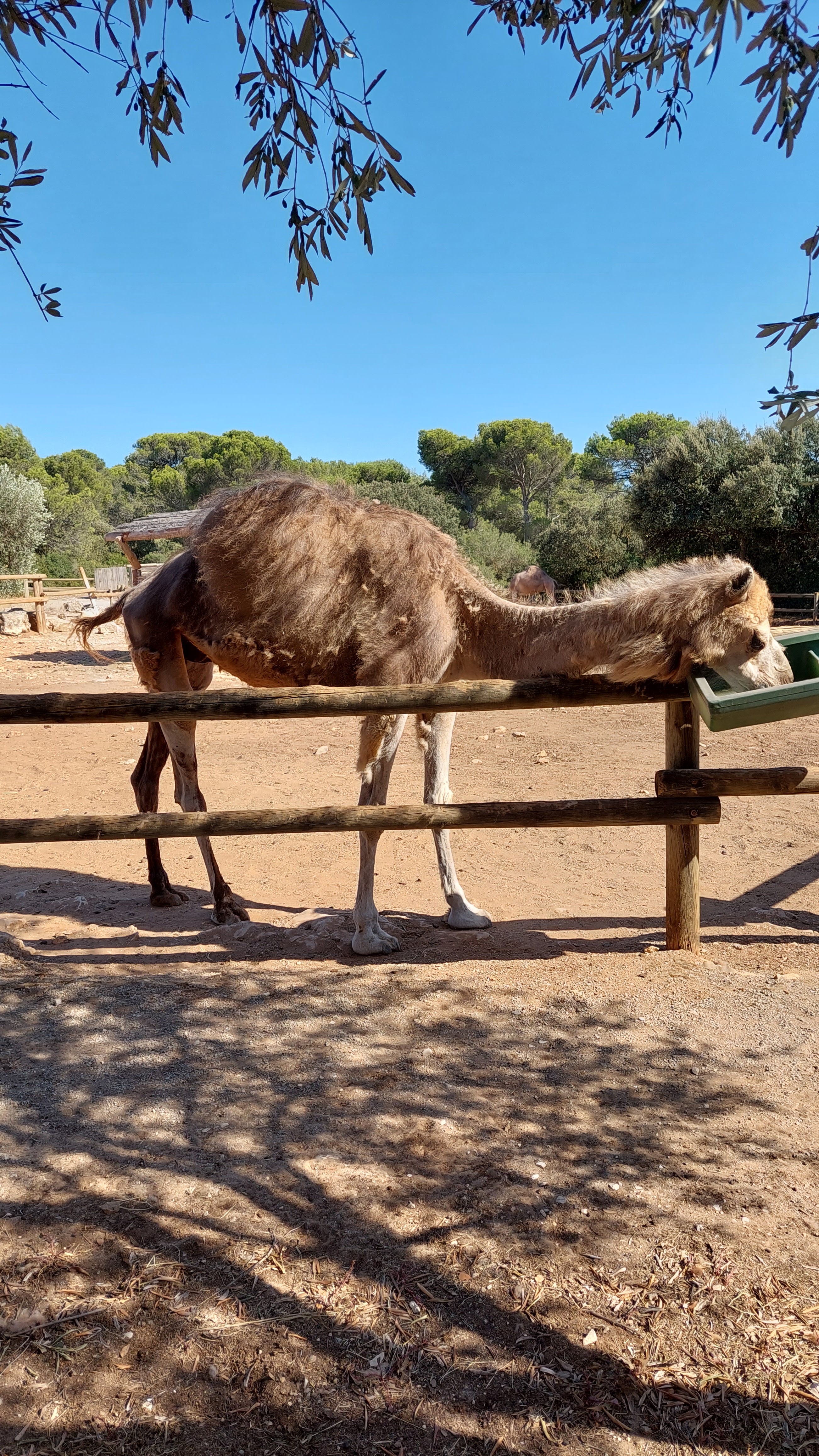 Photo n° 14 de l'avis de Laurent.e fait le 16/08/2023 à 18:40