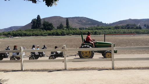 Produce Market «Underwood Family Farms», reviews and photos, 3370 Sunset Valley Rd, Moorpark, CA 93021, USA