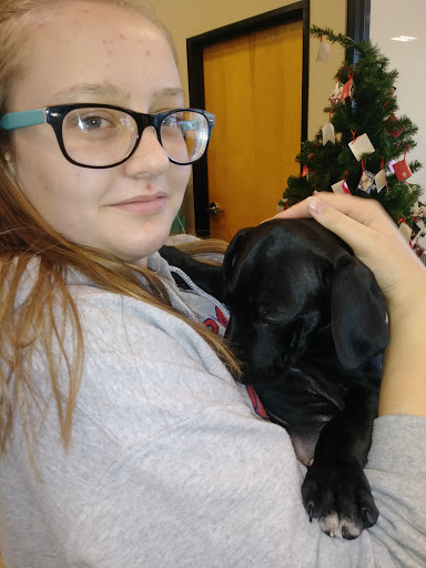 Pet Supply Store «PetSmart», reviews and photos, 16086 Jackson Creek Pkwy, Monument, CO 80132, USA